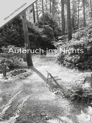 cover image of Aufbruch ins Nichts